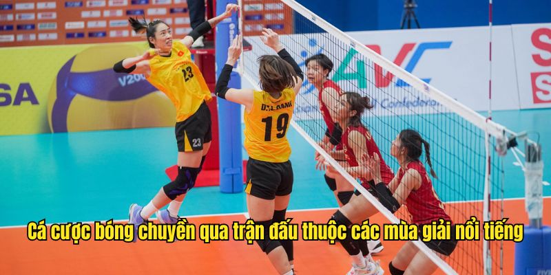 Cá cược bóng chuyền qua trận đấu thuộc các mùa giải nổi tiếng
